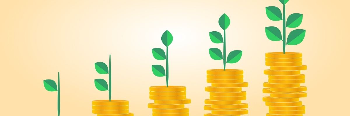 Investissement et Rentabilité
